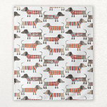 Tapete De Parede Cão de Enchimento<br><div class="desc">Enchidos bonitos de Dachshund ou cachorros-salsicha em tricô malhado. Perfeito para amantes de cachorros e ambulantes de cães.</div>