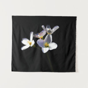 Tapete De Parede Cardamine Pratensis Flowers wcnm