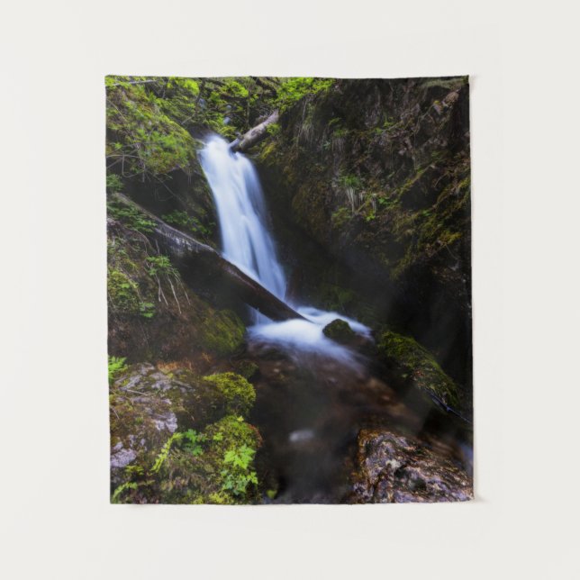 Tapete De Parede Cascata na floresta encantada (Frente)