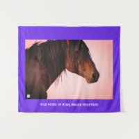 CAVALO SELVAGEM DE UTAH, MONTANHAS ONAQUI