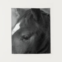 Cavalo wtcnm