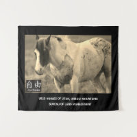 CAVALOS SELVAGENS DE TAPEDA DE UTAH, ONAQUI MONTAN