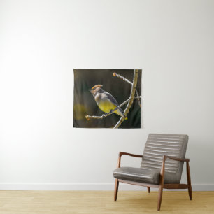 Tapete De Parede Cedar Waxwing Songbird Original Foto de Pássaro Se