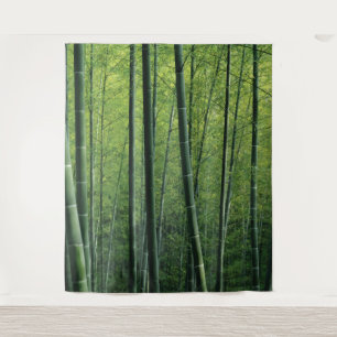 Tapete De Parede Cenário ou decoração de Floresta Verde Profunda