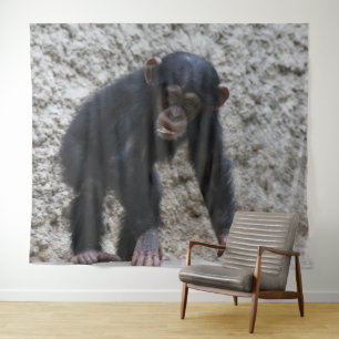 Tapete De Parede Chimpanzé 031
