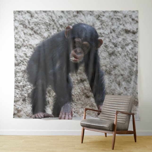 Tapete De Parede Chimpanzé 031 (In Situ (Horizontal))