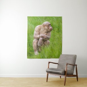 Tapete De Parede Chimpanzé sem Cabelos