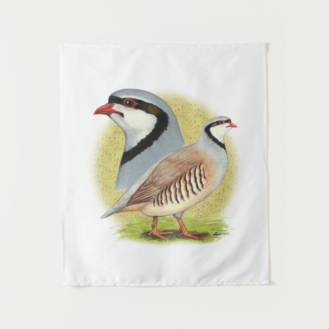 Tapete De Parede Chukar Partridge Combo (Frente)