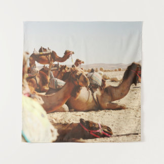 TAPETE DE PAREDE CINCO CAMELOS NO CAMPO