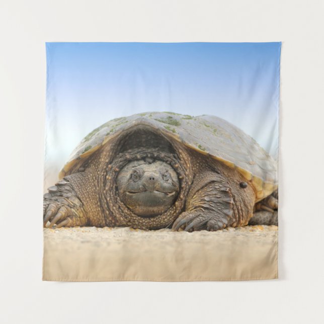 TAPETE DE PAREDE CINZA E TURTLE (Frente)
