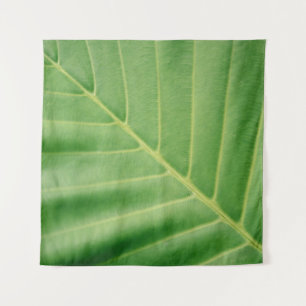Tapete De Parede Close up photo of green leaf