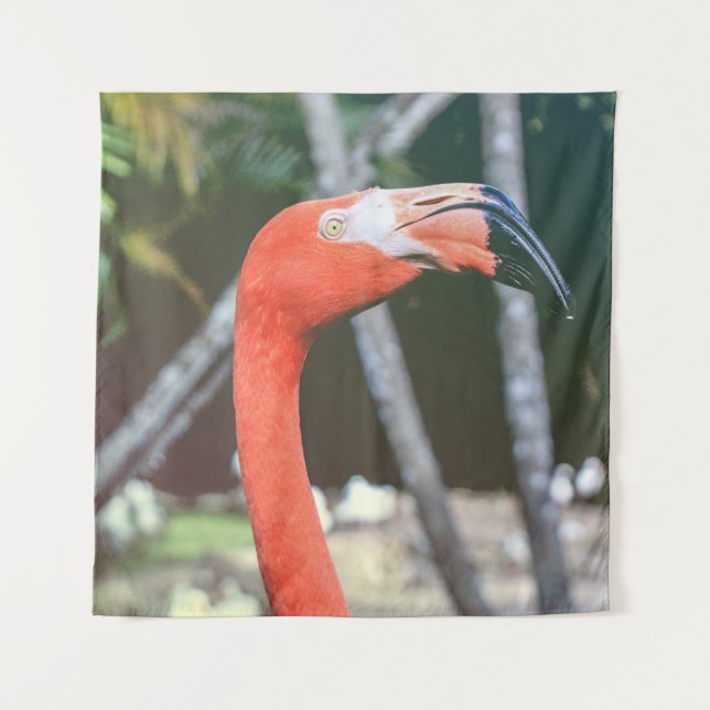 Tapete De Parede Closeup photography of red long-neck bird (Frente)