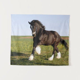 Tapete De Parede Clydesdale Horse