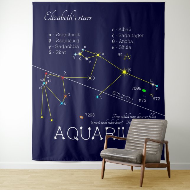 Tapete De Parede Constelação Zodiacal Aquário (In Situ)