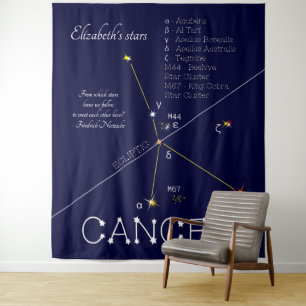 Tapete De Parede Constelação Zodiacal Câncer