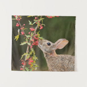 Tapete De Parede Cottontail oriental   Sul do Texas