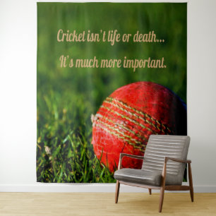 Tapete De Parede Cricket Bola Vermelha Motivacional Divertida