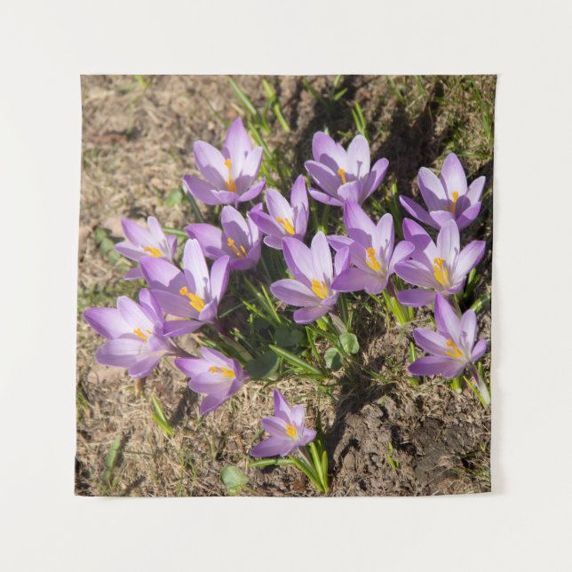Tapete De Parede Crocus da primavera fofos (Frente)