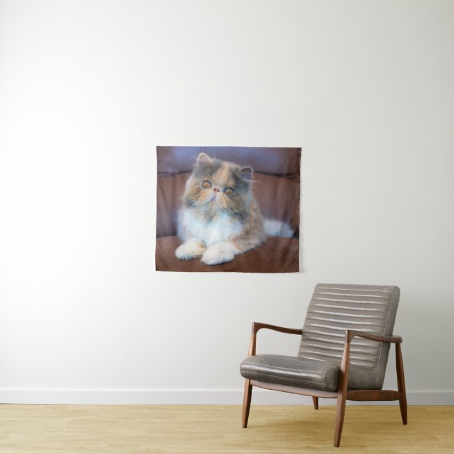 Tapete De Parede Cutest Baby Animals | Calico Persian Kitten (In Situ (Horizontal))