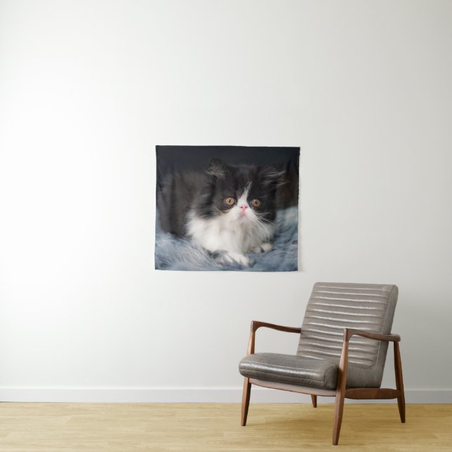 Tapete De Parede Cutest Baby Animals | Fluffy B&W Kitten (In Situ (Horizontal))