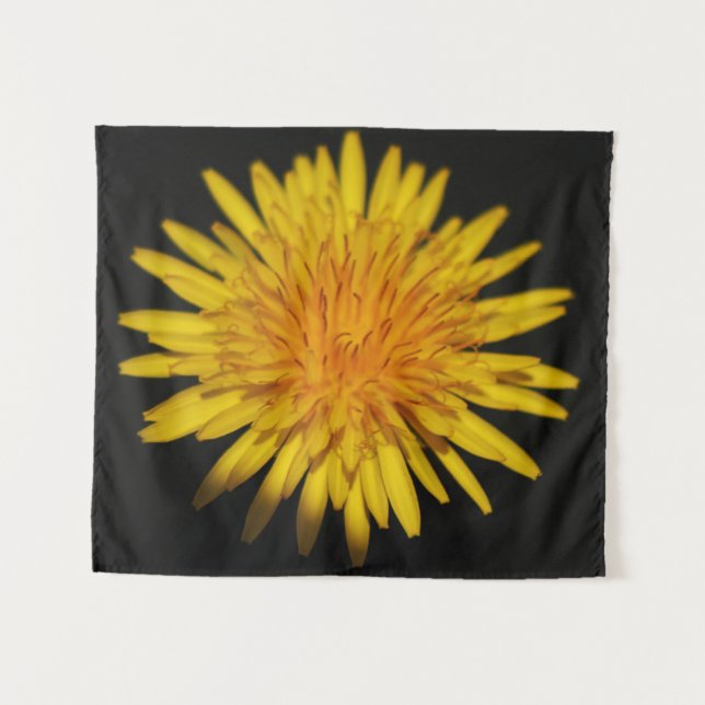 Tapete De Parede Dandelion Flower wtcna (Frente (Horizontal))