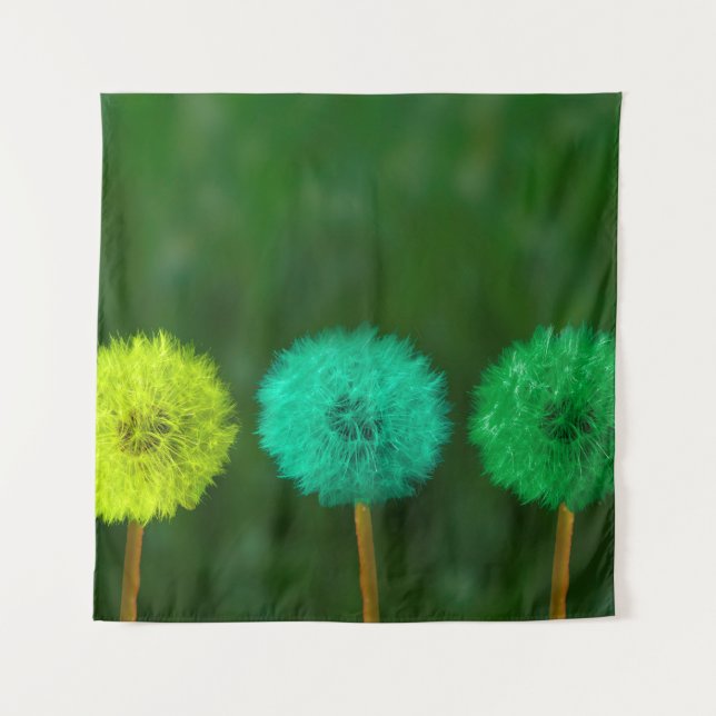 Tapete De Parede Dandelion multicolorido (Frente)