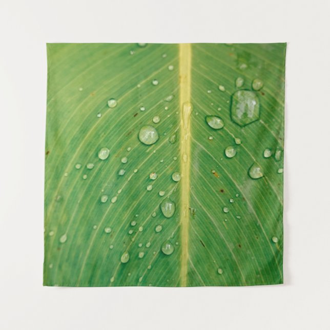 Tapete De Parede Dewdrop em planta verde folheada (Frente)