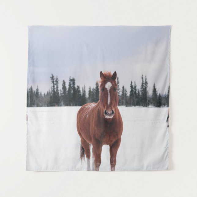 TAPETE DE PAREDE DOIS CAVALOS NA NEVE (Frente)
