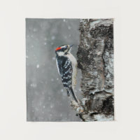 Downy Woodpecker em Neve - Foto Original