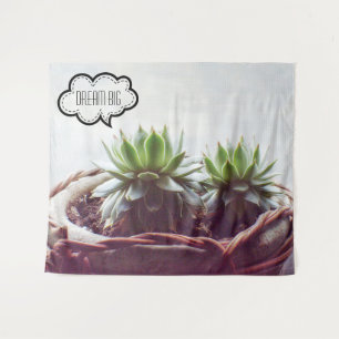 Tapete De Parede Dream Big Phrase Green Succulent