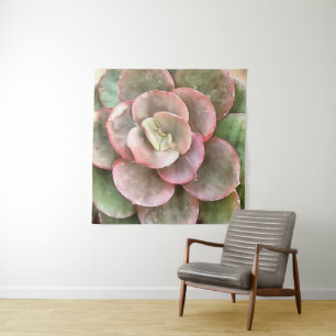 Tapete De Parede Echeveria Cactus - Pintura acrílica suculenta
