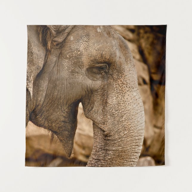 TAPETE DE PAREDE ELEPHANT (Frente)
