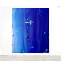 ESCOLA DE FOTOGRAFIA DE TUBARÕES