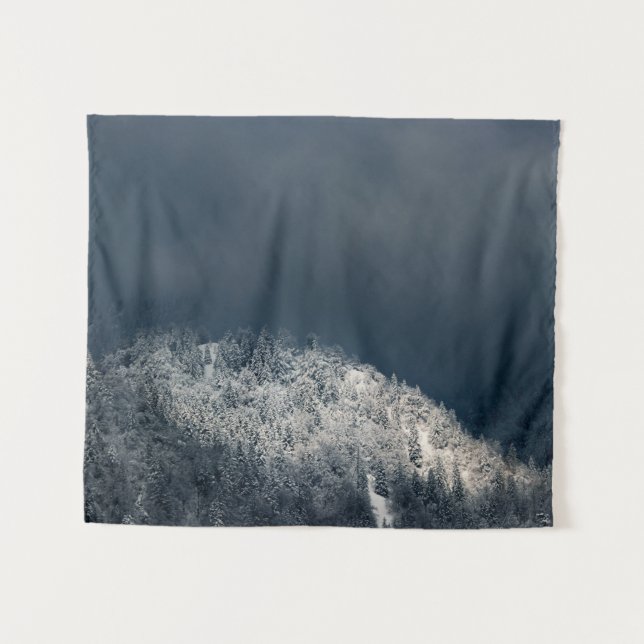 Tapete De Parede Escuridão e sol sobre a floresta de neve (Frente (Horizontal))