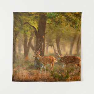 Tapete De Parede Esquadrão, eixo do eixo, veados ou axis