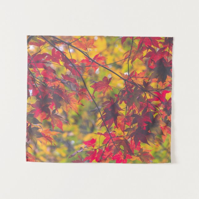 Tapete De Parede Fall Foliage Trees Nature PEQUENO (Frente (Horizontal))