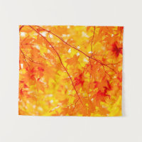 Fall Foliage Trees Nature PEQUENO