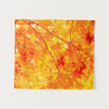 Fall Foliage Trees Nature PEQUENO