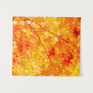 Tapete De Parede Fall Foliage Trees Nature PEQUENO