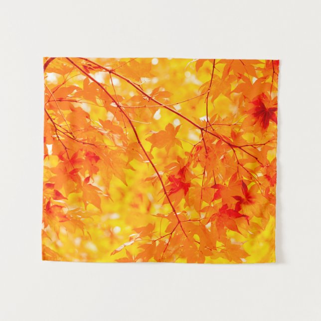 Tapete De Parede Fall Foliage Trees Nature PEQUENO (Frente (Horizontal))
