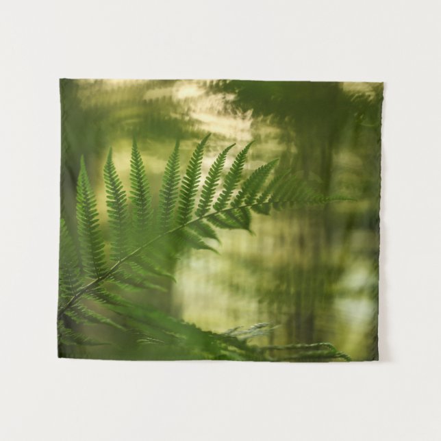 Tapete De Parede Fern Nature Photo (Frente (Horizontal))