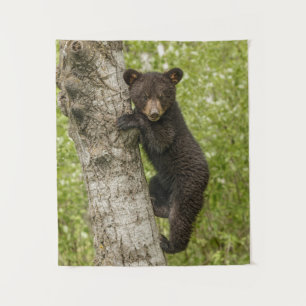Tapete De Parede Filhote de Urso Negro na Árvore