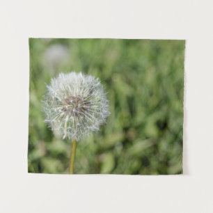 Tapete De Parede Flor de dandelion branco sobre grama verde
