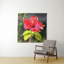 Flor de Hibiscus Tropical Vermelha e Bonita