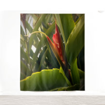 Flor Vermelha Flor Tropical Natureza Verdura Plant