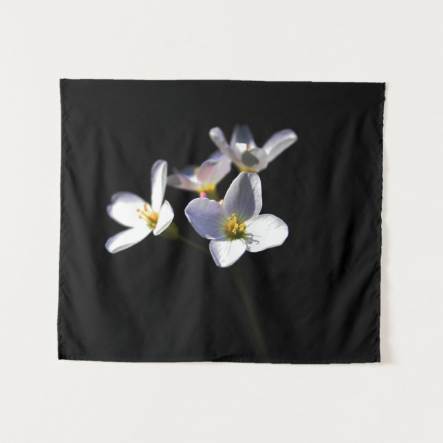 Tapete De Parede Flores de Cardamine Pratensis wtm (Frente (Horizontal))