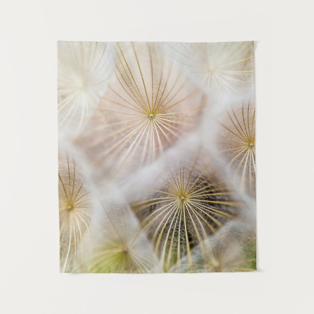 Tapete De Parede Flores de dandelion brancas (Frente)