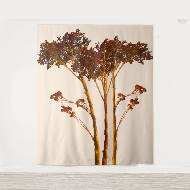 Tapete De Parede Flores Secas Sedum Fotografias (Frente)