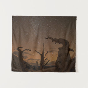 Tapete De Parede Floresta Antiga de Pinheiros Bristlecone   Califór