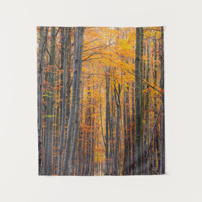 Tapete De Parede Floresta de outono de ouro impressionante (Frente)